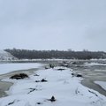 Nemuno upėje rastas moters kūnas