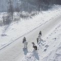 Sibiro raiteliai ant arklių nugarų leidosi į tarpžemyninį žygį