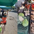 Turgelyje – šviežių daržovių derlius: prekeiviai kalba apie sunkią konkurenciją su parduotuvėmis