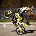 Lietuvoje pirmą kartą vyks motociklų akrobatikos čempionatas