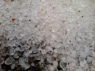 Hail in Telshiai