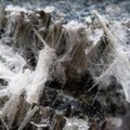 Mokslininkai siūlo prisiminti asbestą: pamirštos jo kasyklos gali padėti išgelbėti pasaulį