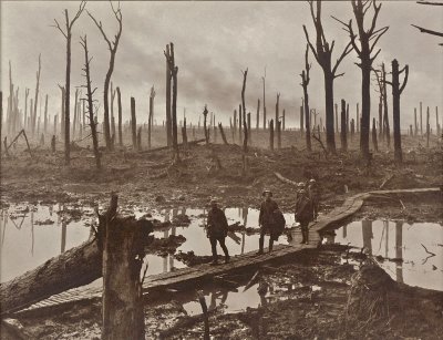 Pašandielės apylinkės po artiilerijos apšaudymo Pirmojo pasaulinio karo metais