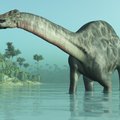 Dinozaurų išmetamosios dujos sukėlė Žemės atšilimą