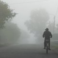 Kelininkai: pietų ir šiaurės Lietuvoje kelių dangos daugiausiai drėgnos, Panevėžio rajone eismo sąlygas sunkina rūkas