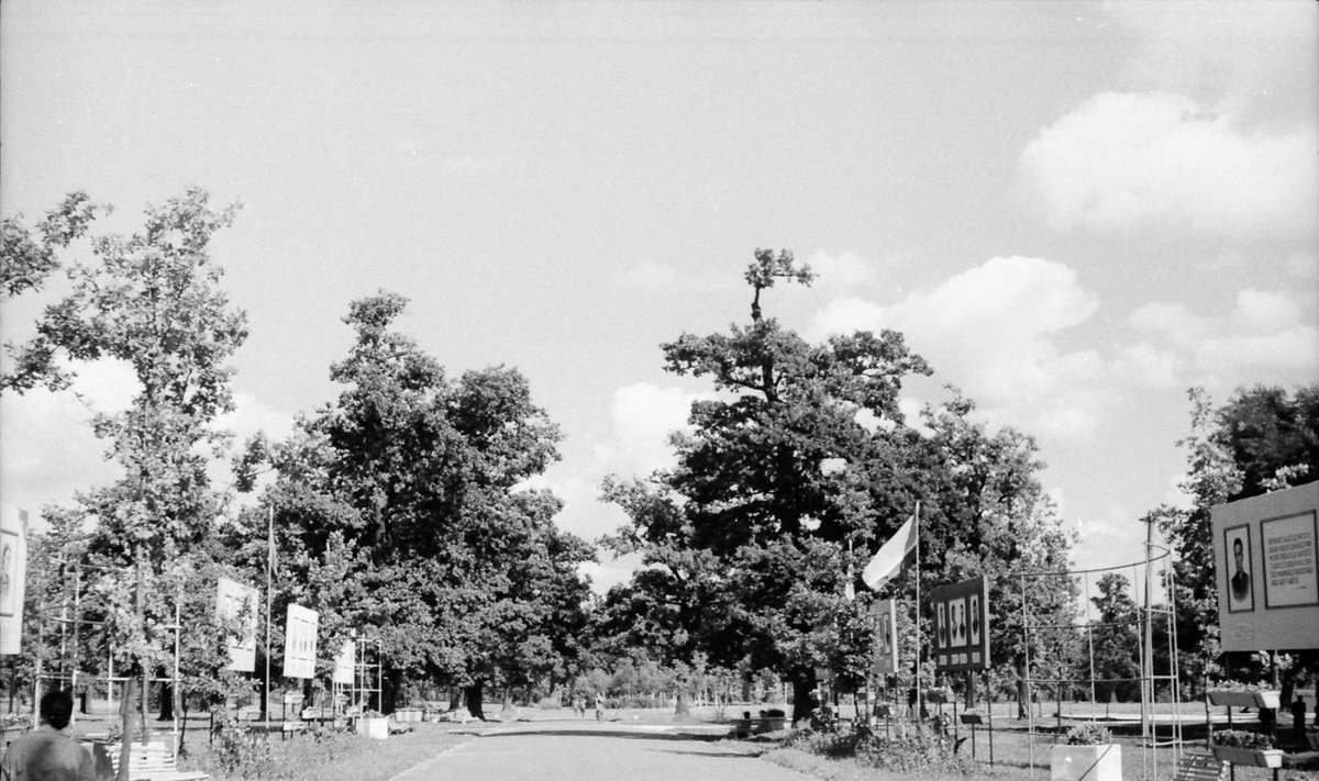 Vytauto parko alėja, 1961 m. //  Stanislovas Lukošius, Kauno miesto muziejaus nuotrauka