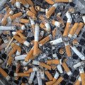 Gamtą žalojantys rūkoriai turės papurtyti kišenes