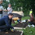 Vilniaus miesto darže organizuojama derliaus nuėmimo šventė
