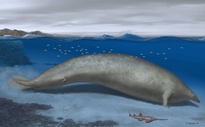 Priešistorinio banginio fosilijos.