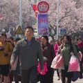 D. Trumpo gąsdinama Š. Korėja rengiasi grandioziniam paradui