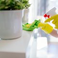 Specialistai pastebi, kad švarindami namus prieš šventes smarkiai padauginame chemijos ir siūlo alternatyvias valymo priemones