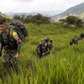 Kolumbijos FARC sukilėliai žada laikytis nusiginklavimo termino