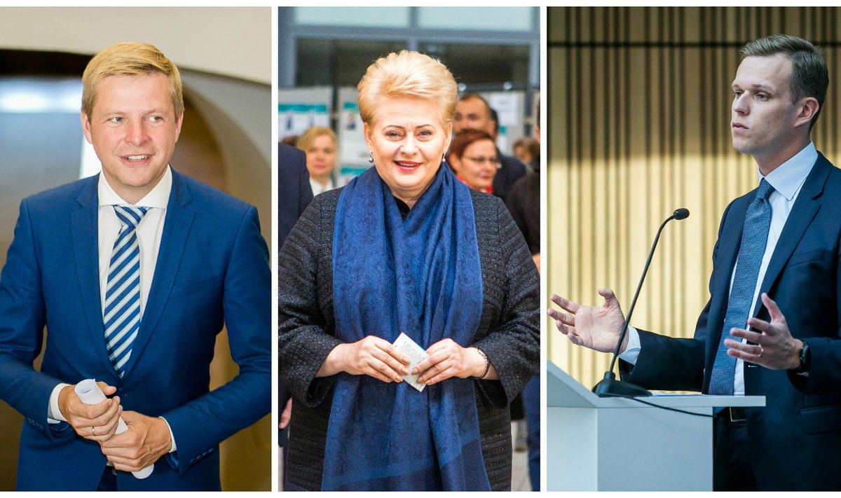 Remigijus Šimašius, Dalia Grybauskaitė, Gabrielius Landsbergis