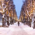 Sniego patalais pasidengęs Kaunas spinduliuoja kalėdine dvasia