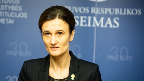 Čmilytė: helping Ukraine and strengthening NATO’s eastern flank are two sides of same coin