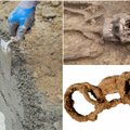 Pribloškiantis radinys Didžiojoje Britanijoje: namą statę darbininkai atkasė geležine grandine surakintą žmogaus skeletą