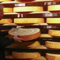 Ypatingas šveicariškas sūris, pritraukiantis milijonus turistų