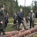 Perspėjo apie Lietuvos miškų laukiančią katastrofą