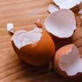 Kuo pakeisti kiaušinius negalintiems ar nemėgstantiems jų valgyti?