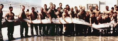  1996-aisiais JAV laivyno vyrai aptiko į krantą išplautą žuvį ir galvojo, jog tai - peraugęs ungurys. Tik vėliau išsiaiškinta, jog tai buvo Silkių karalius. / JAV karinio jūrų laivyno nuotr., autorius nežinomas. 