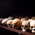 Sugalvojo, kad vykdomas „baltųjų genocidas“
