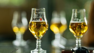 Pasaulinės alaus tendencijos: ar lietuviškas alus gali prisidėti prie jų formavimo?
