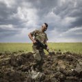 Reikalauja skubių paliaubų Rytų Ukrainoje