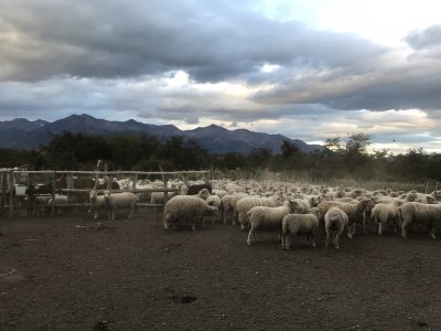 Lietuvių kelionė į Patagonijos regioną