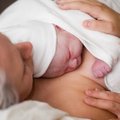 Gydytojas favoritas, cezario pjūvis, nuskausminamieji: kurie gimdyvių pageidavimai pateisinami