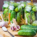 Trys greiti raugintų agurkų receptai ir pagrindinės konservavimo taisyklės