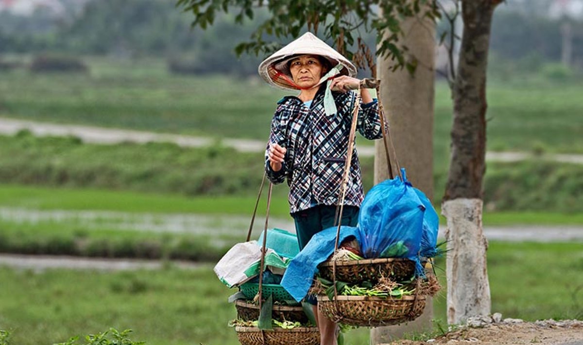 Vietnamas (Renatos Apanavičienės nuotr.)
