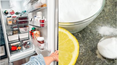 Ką daryti, kad jūsų šaldytuvas kvepėtų kasdien: priemonės, kurios sugeria nemalonius kvapus