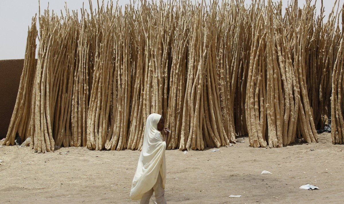 Dykumos miestas Agadezas, Nigeryje