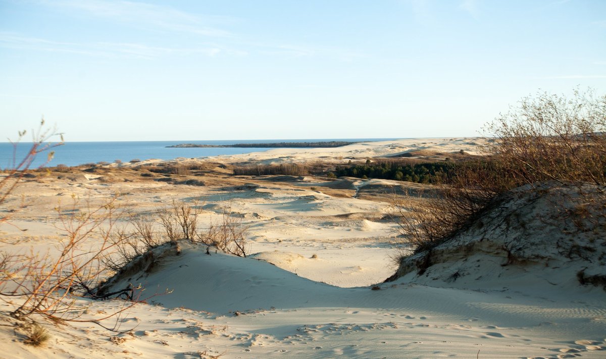 On the Curonian Spit