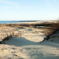 Seimas scraps efforts to save Curonian Spit's illegal buildings from demolition