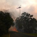 Australijoje gesinant gamtinį gaisrą sudužo sraigtasparnis