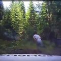 Nufilmuota: policijos žvyrkeliu ir miškais persekiotas BMW vairuotojas sumanė pramankštinti kojas